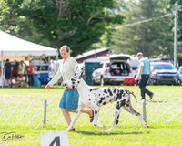 20240630-DSC02852