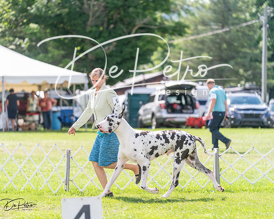 20240630-DSC02852
