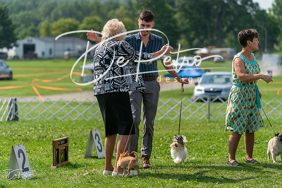 20240816-DSC00498