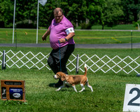 20250629-DSC09532