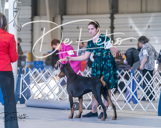 20250302-DSC07025