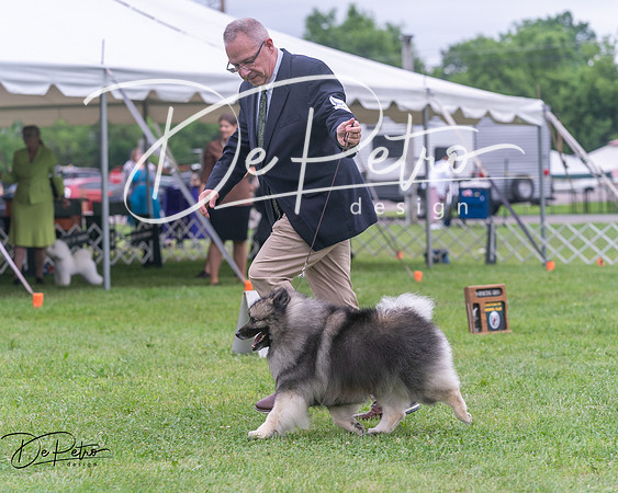 20250627-DSC06528