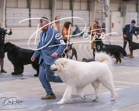 20250302-DSC07540