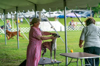 20240630-DSC02213