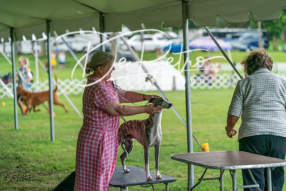 20240630-DSC02213