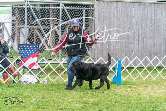 20240428-DSC00024