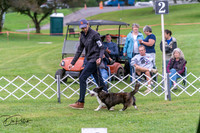 20250627-DSC06271