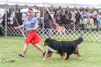 20250628-DSC07606