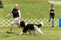 20250628-DSC07846