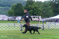 20250626-DSC02206