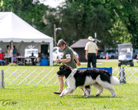 20240630-DSC02894