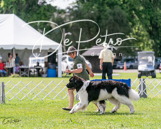 20240630-DSC02894