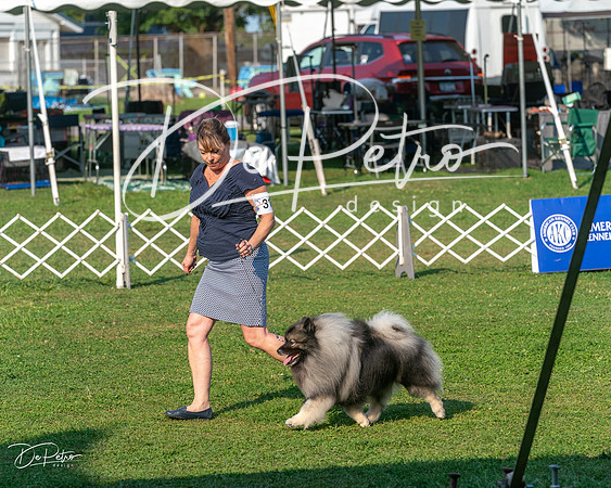 20240913-DSC00330
