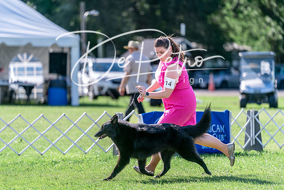 20240630-DSC04677
