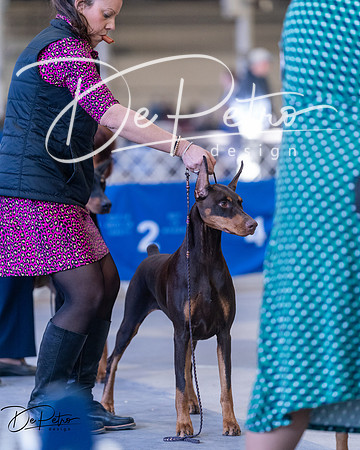 20250302-DSC06571