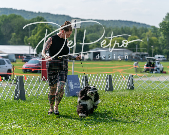 20240816-DSC00950