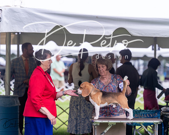 20250626-DSC04533