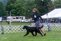20250626-DSC02287