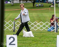 20250626-DSC03013