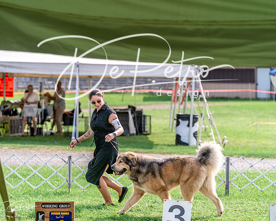 20240815-DSC07807