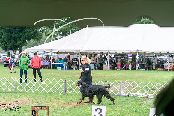 20240629-DSC06861