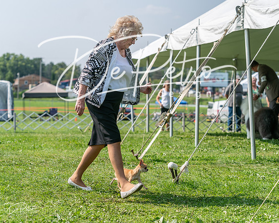20240816-DSC01128