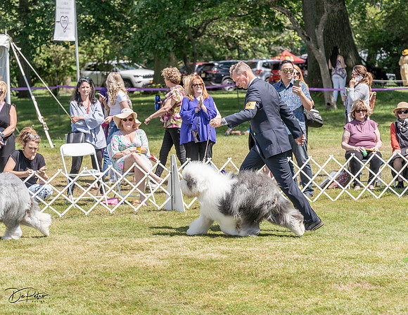 20220620-DSC03788