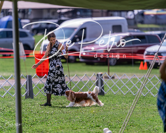 20240815-DSC06556