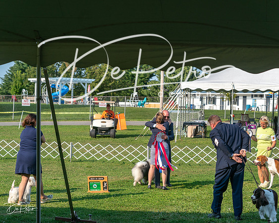 20240913-DSC00522
