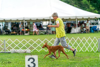 20240630-DSC02265