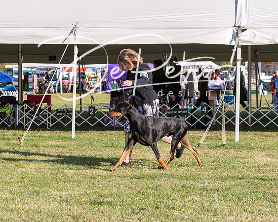20190929-DSC02629
