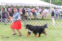 20250628-DSC07596