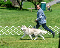 20250629-DSC09698