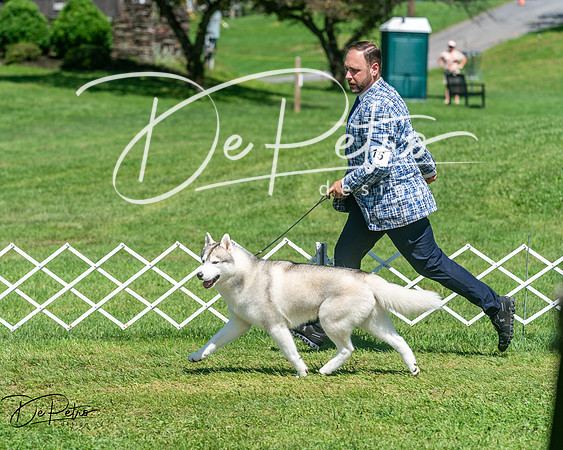 20250629-DSC09698