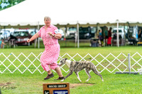 20240630-DSC02256