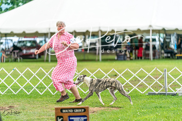 20240630-DSC02256