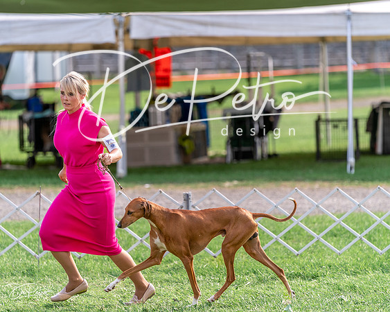 20240815-DSC08717