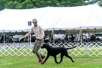 20250626-DSC02120