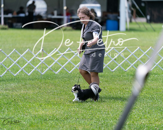 20240630-DSC01567