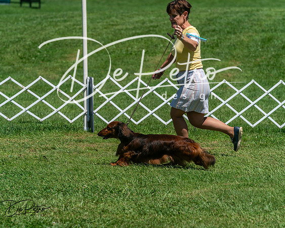 20250629-DSC09541