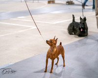 20250301-DSC04621