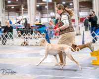 20250301-DSC04592