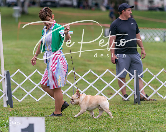 20250626-DSC03768