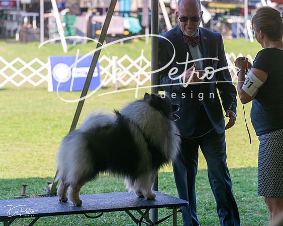 20240913-DSC00326