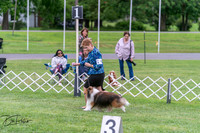 20250627-DSC06244