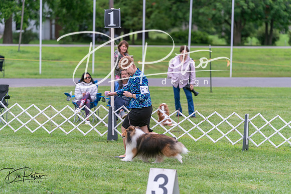 20250627-DSC06244