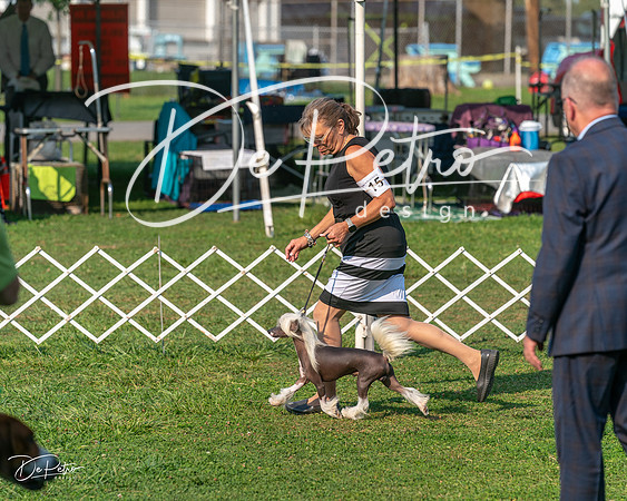 20240913-DSC00428