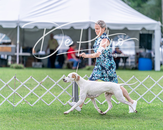 20240630-DSC03931
