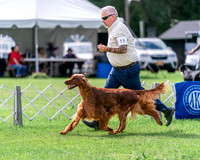 20240630-DSC03899
