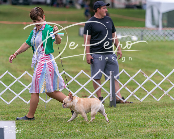 20250626-DSC03765